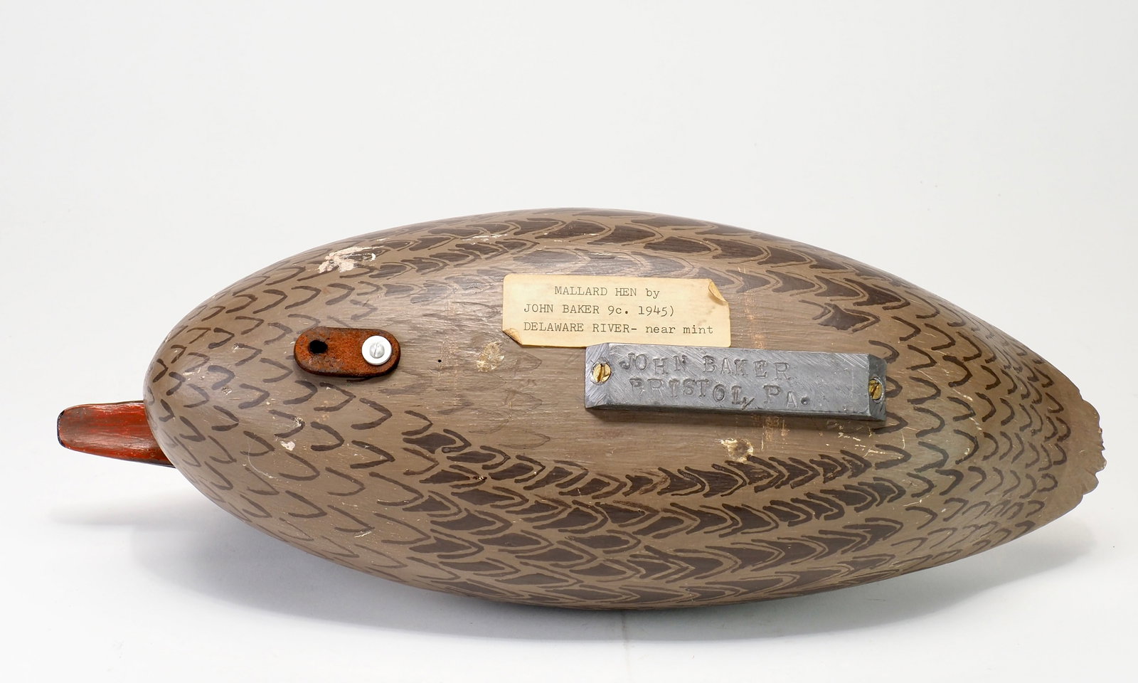John Baker - Mallard Hen - 6