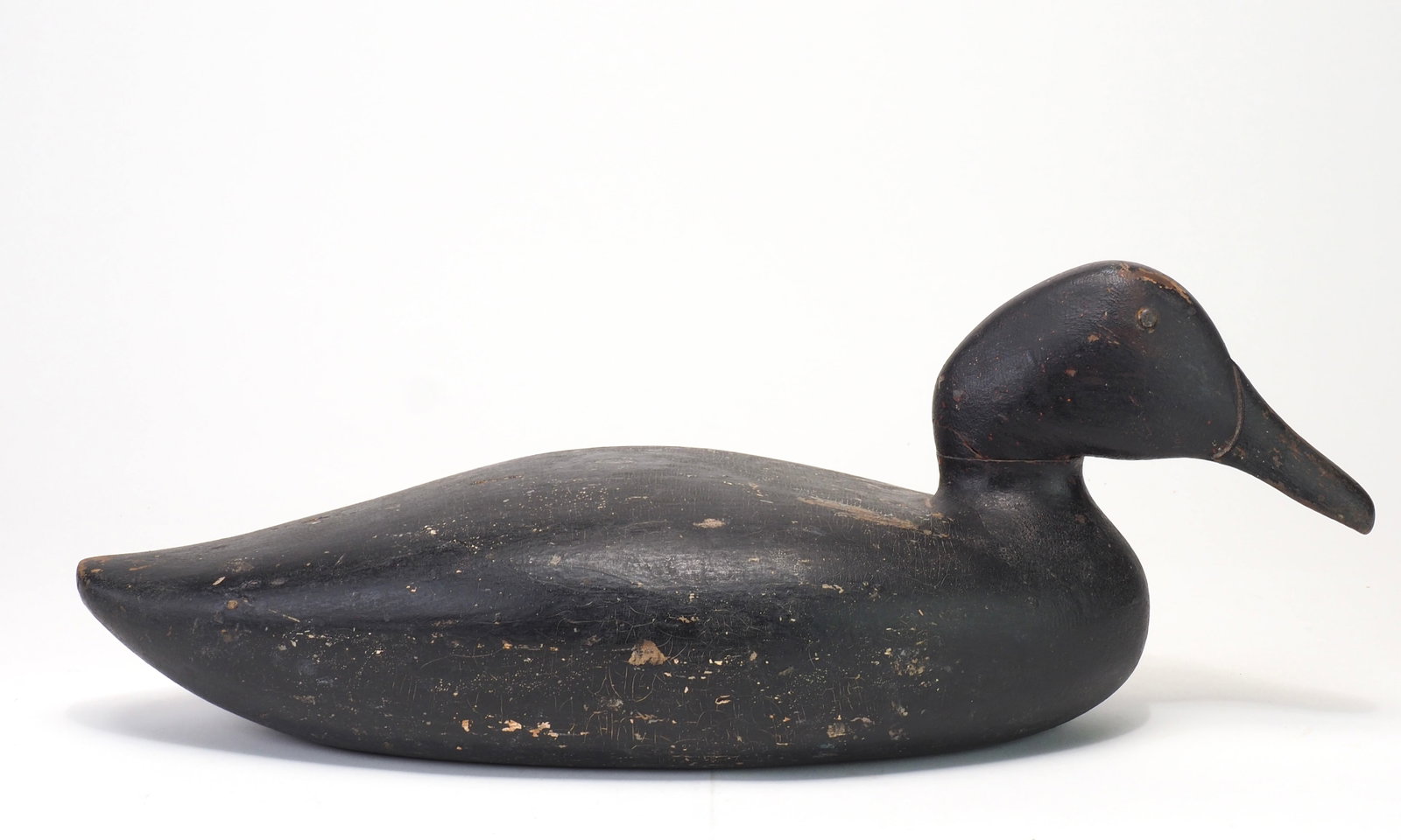Philadelphia, Delaware River - Black Duck (1 of 5)