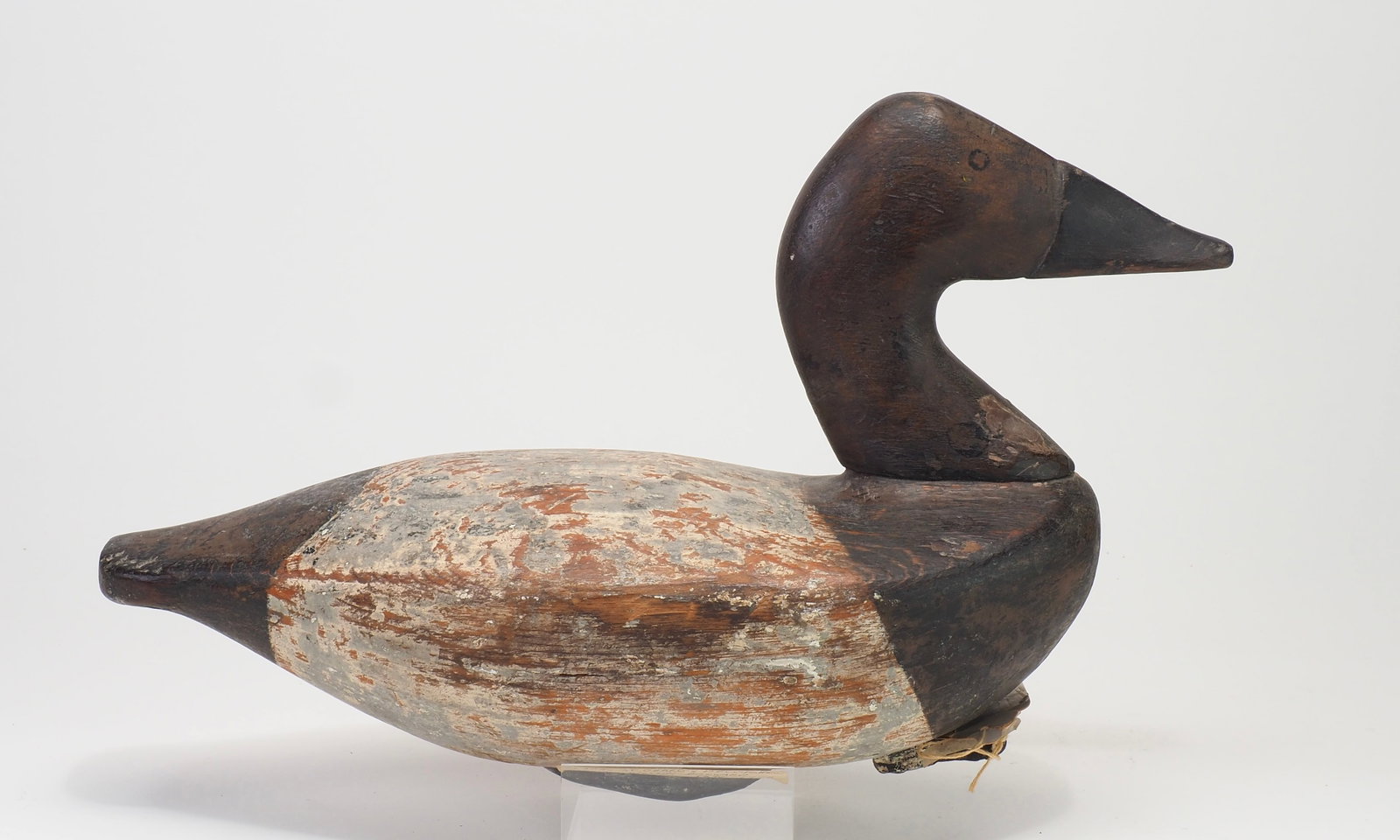 Charles Nelson Barnard - Canvasback Hen: Charles Nelson Barnard (1876-1958) Havre de Grace, MD 15.25" long Well sculpted with a high head with painted eyes and deep carving where the face meets the bill Condition: Thin working paint, head