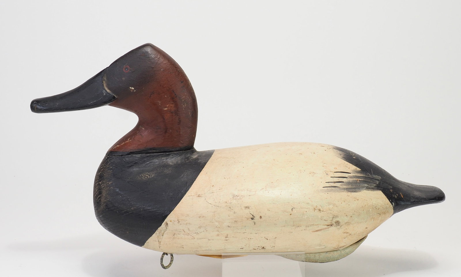 Will Heverin - Canvasback Drake (1 of 7)