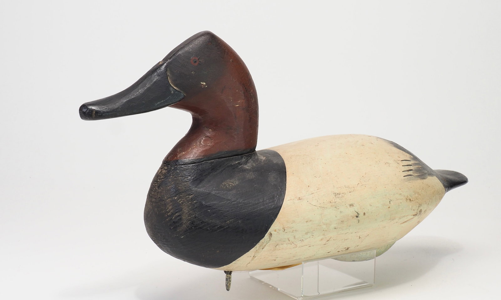 Will Heverin - Canvasback Drake - 2
