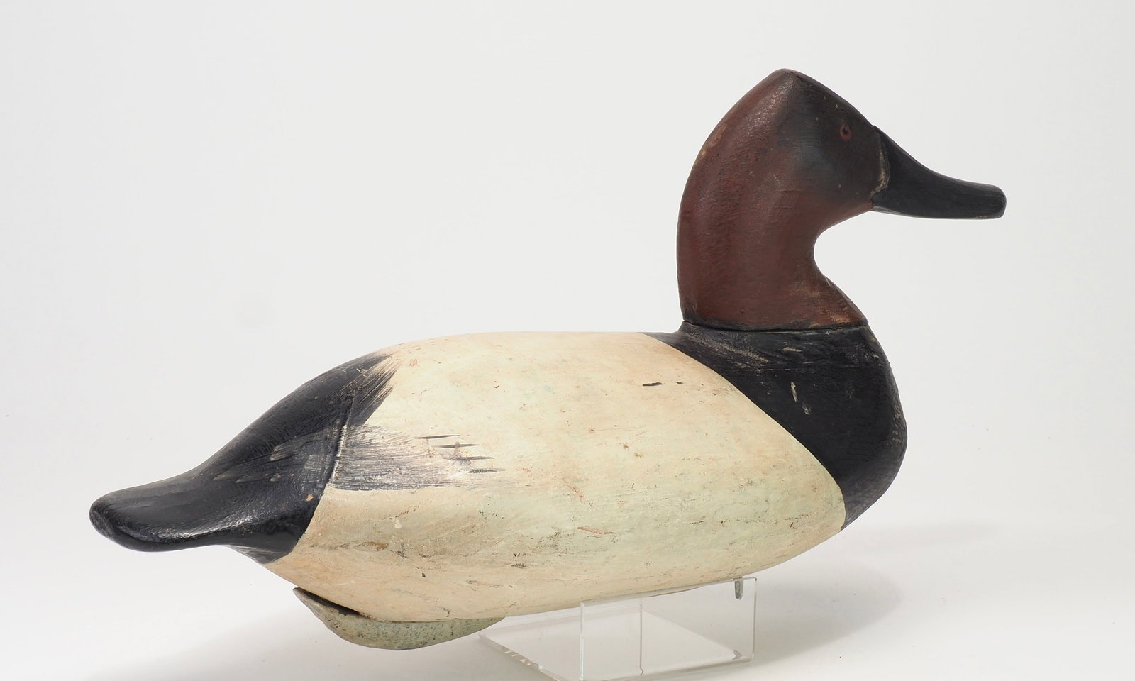 Will Heverin - Canvasback Drake - 3