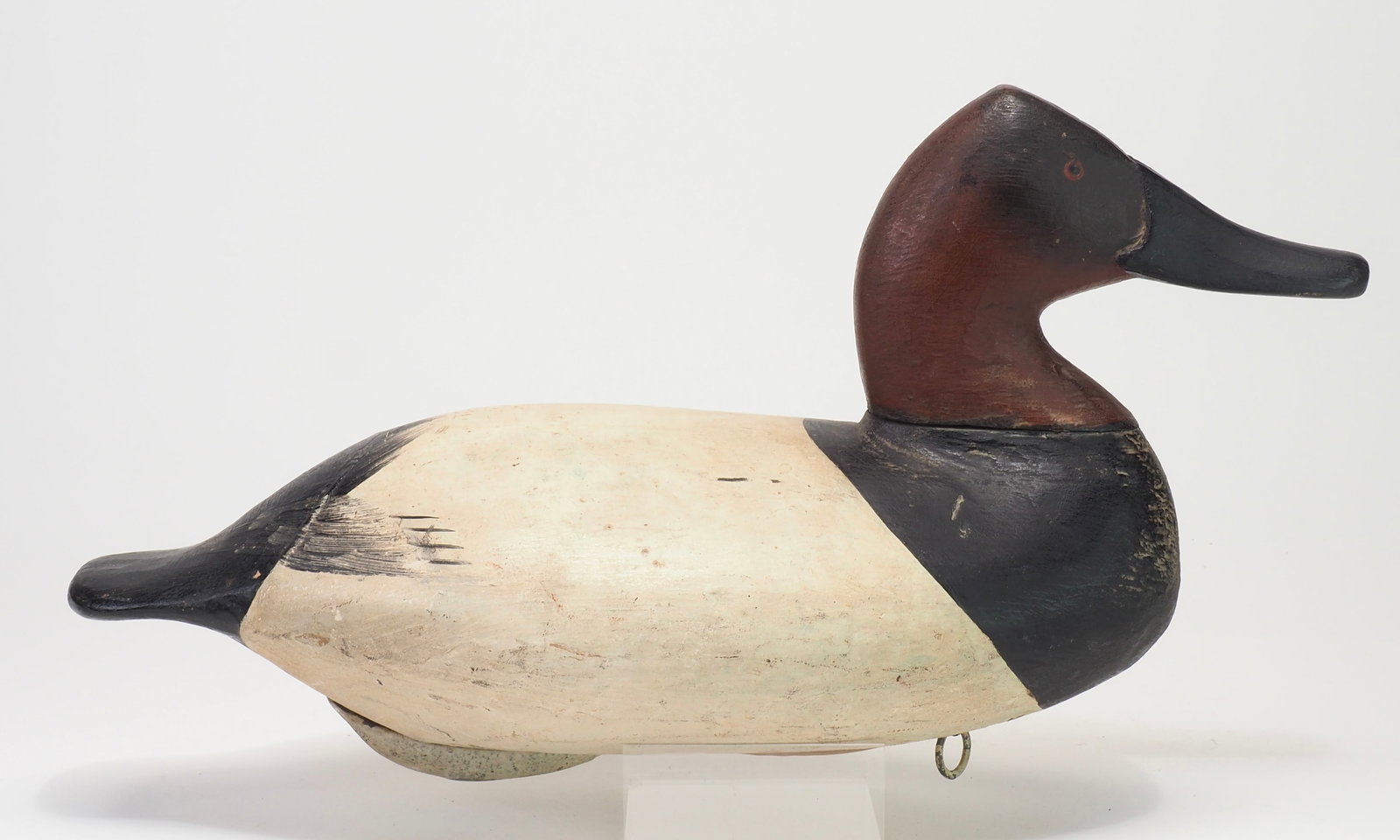 Will Heverin - Canvasback Drake - 4