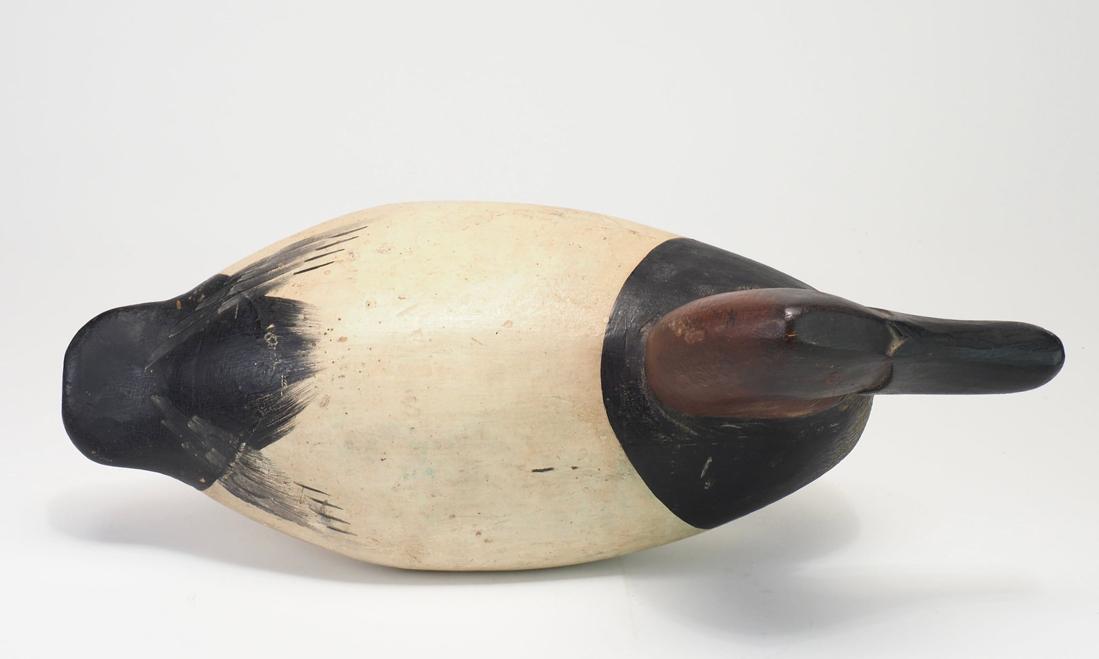 Will Heverin - Canvasback Drake - 6