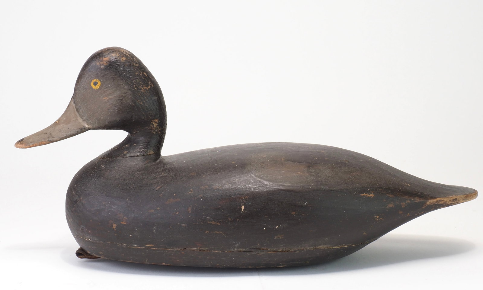 Charles Jester - Rare Redhead Hen - 4