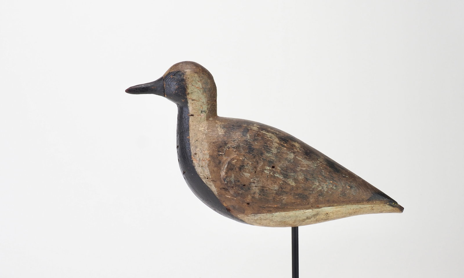 Plump Virginia Black Bellied Plover: Virginia c.1900's 11" long Relief carved wing shoulder that flows back along the body to two distinct points that create the appearance of two wings. Carved eyes. Condition: Original paint, some black