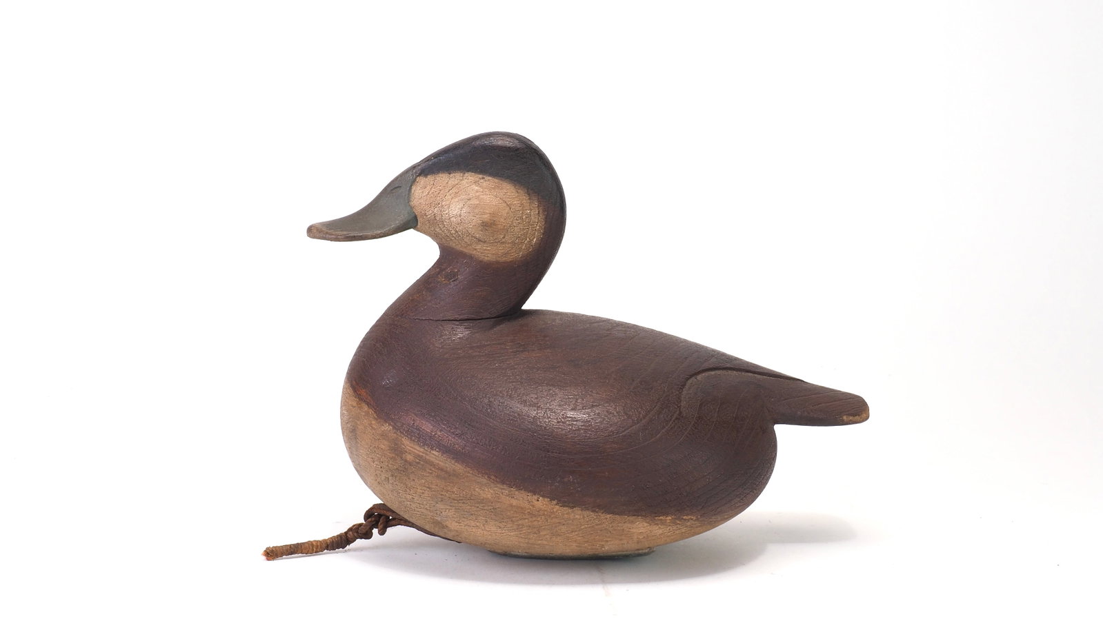 Mark McNair - Canon Ball Ruddy Duck (1 of 7)