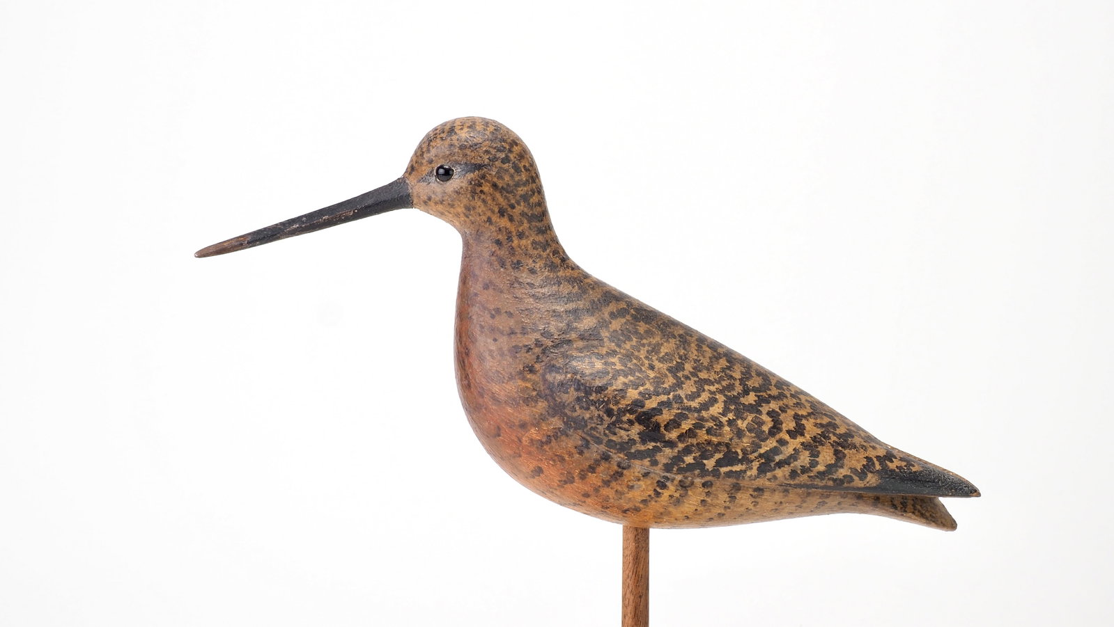 Mark McNair - Godwit or Redknot (1 of 5)
