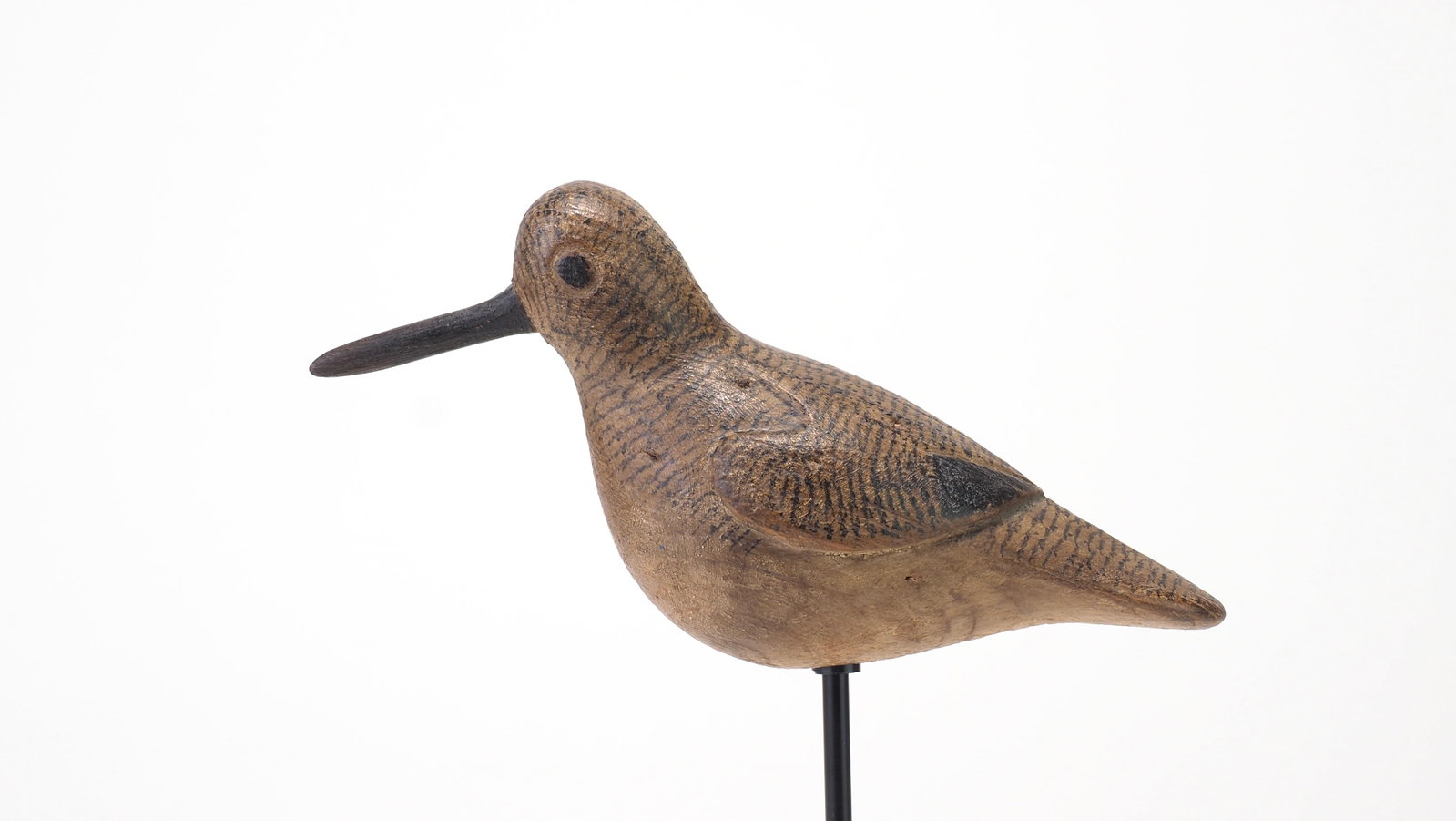 Mark McNair - Plump Sanderling (1 of 5)
