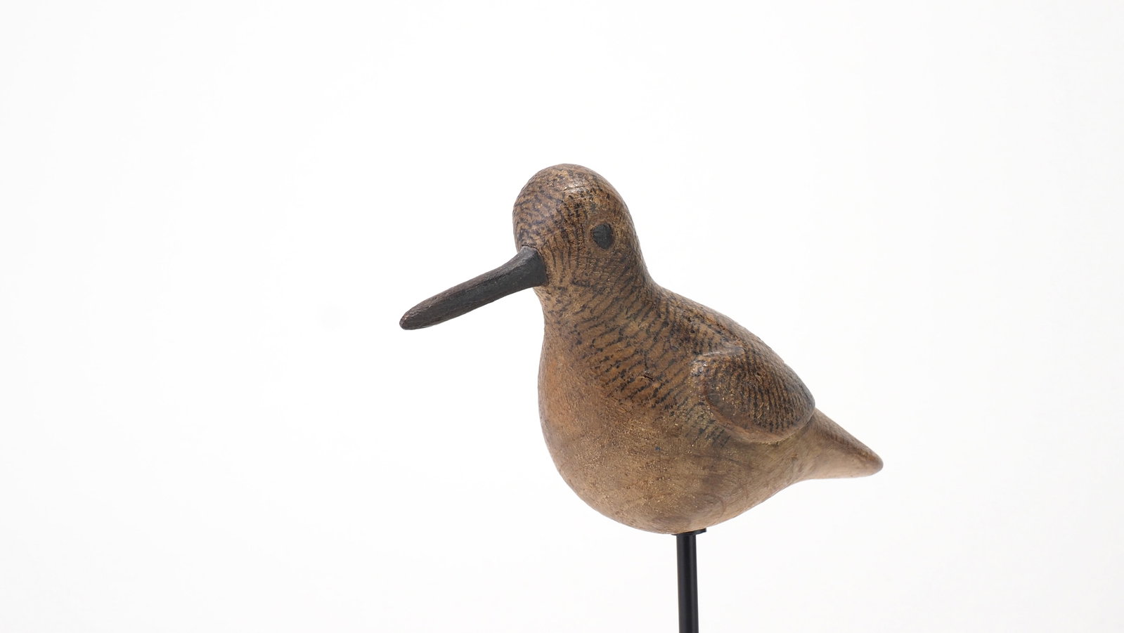 Mark McNair - Plump Sanderling - 2