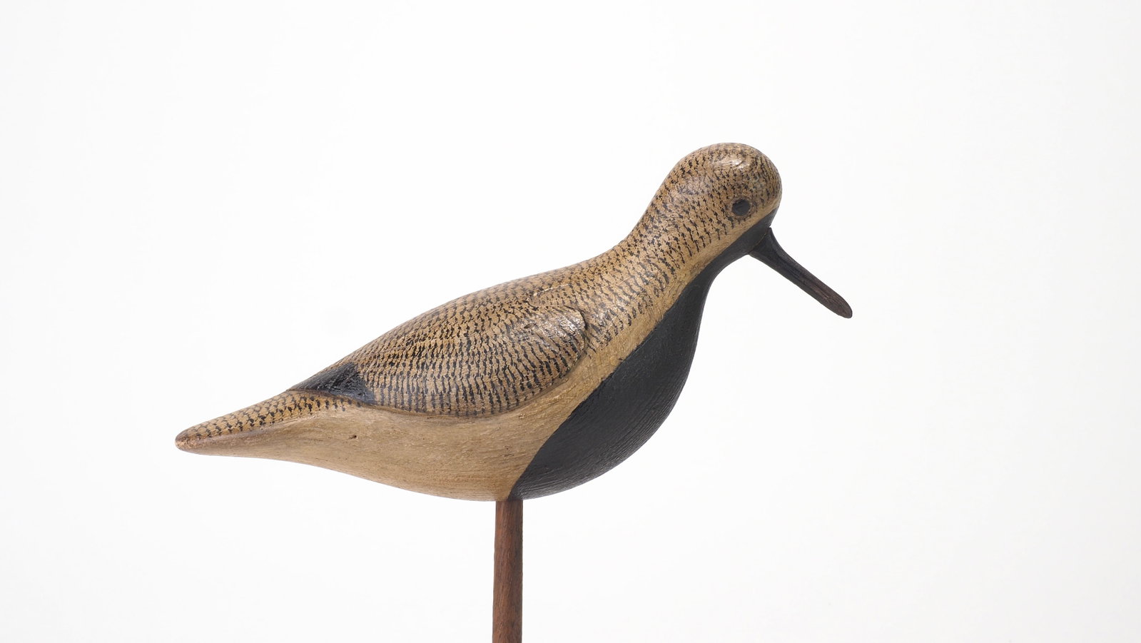 Mark McNair - Plump Black Bellied Plover (1 of 5)