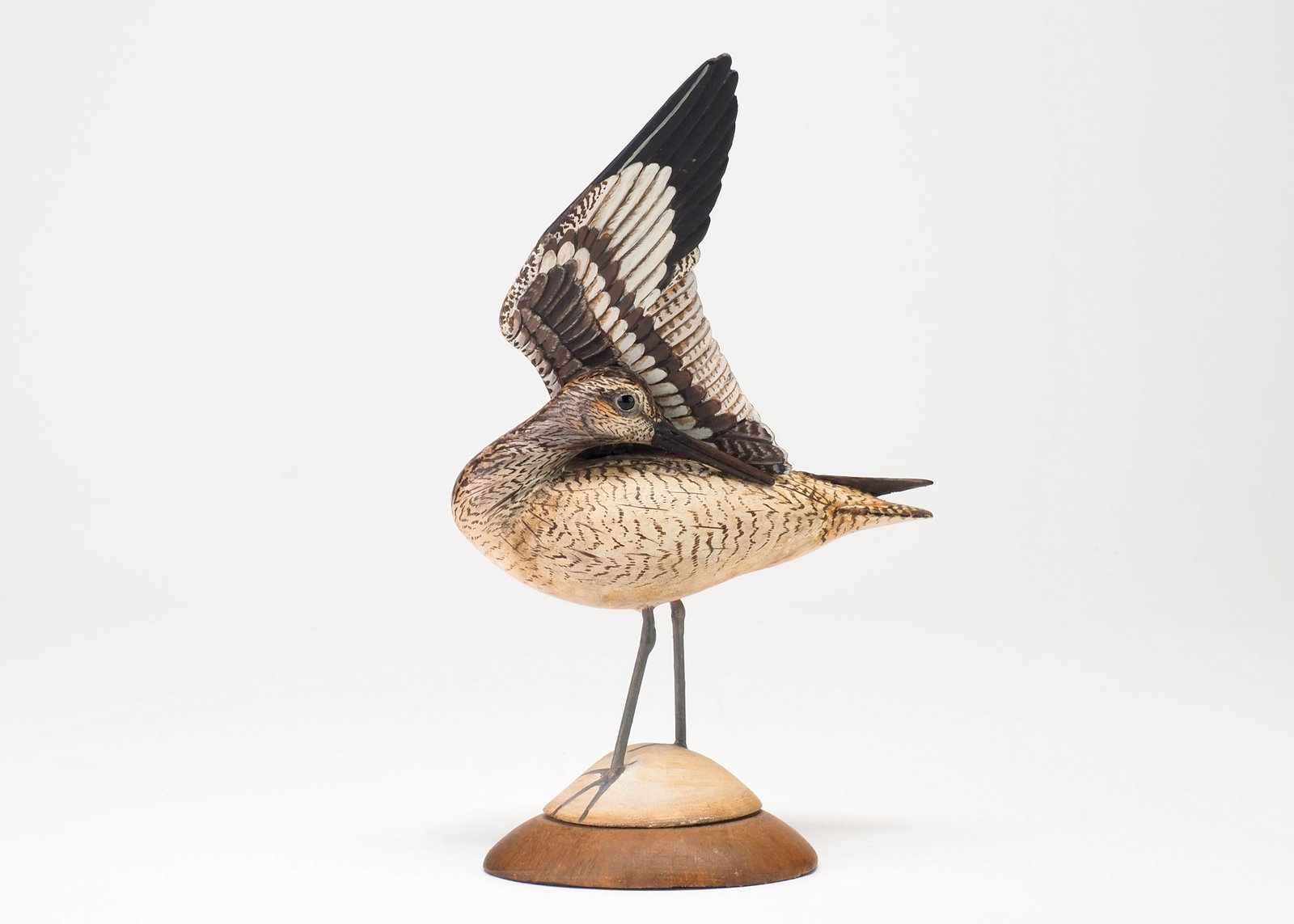 Bill Gibian - Miniature Preening Willet: William Gibian (b. 1946) Onancock, VA 6.75" tall Wonderful miniature example of Gibians iconic renditions of raised wing shorebirds. Carving and paint is very well executed with heavily detailed carve