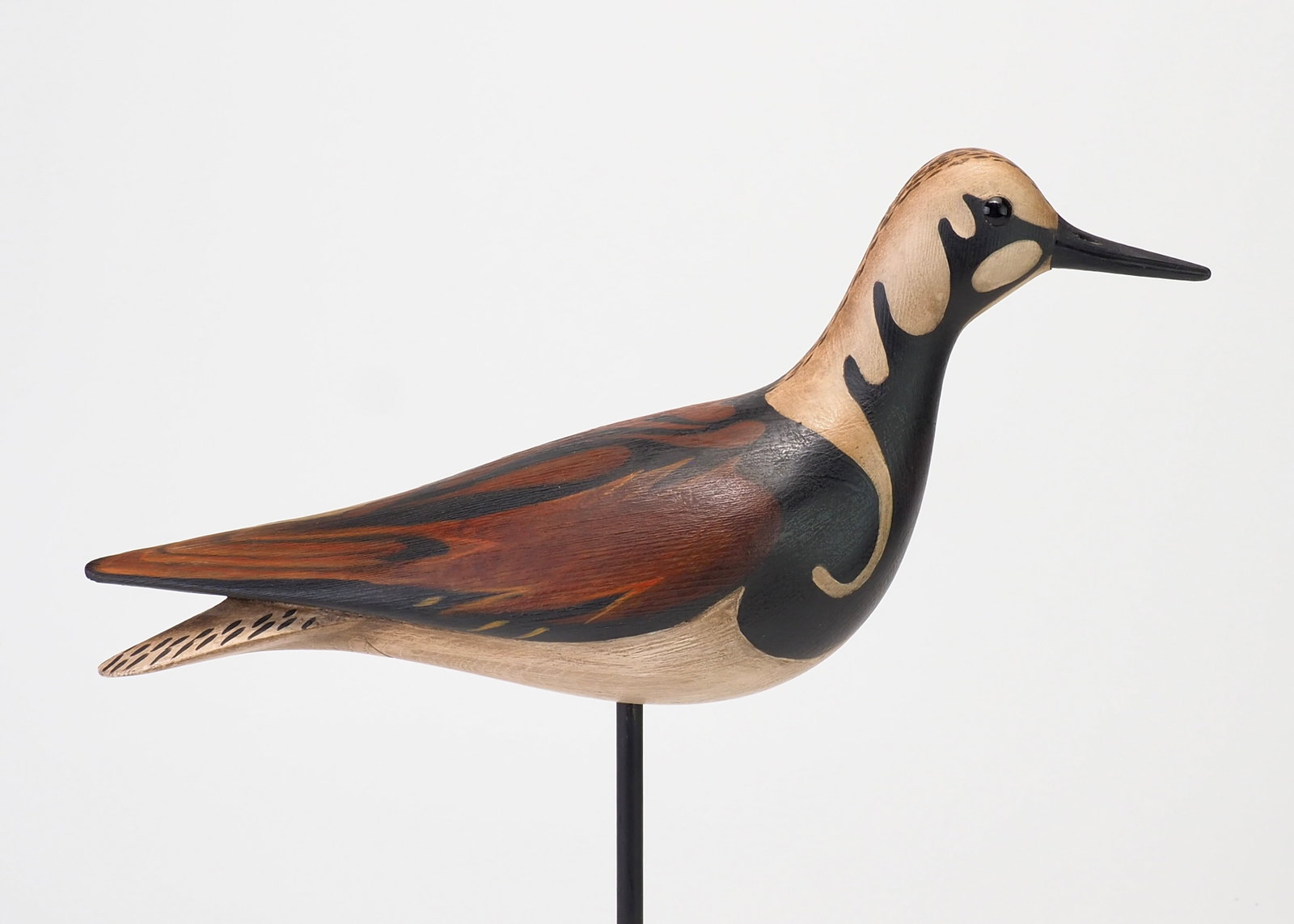 Bill Gibian - Ruddy Turnstone (1 of 7)
