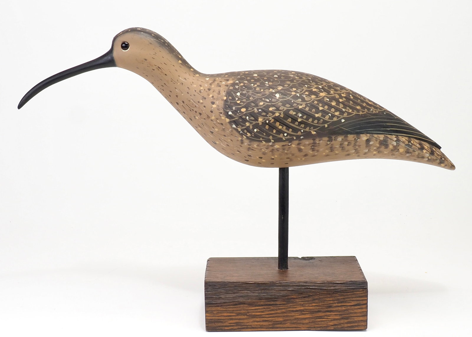Pete Peterson - Curlew (1 of 5)