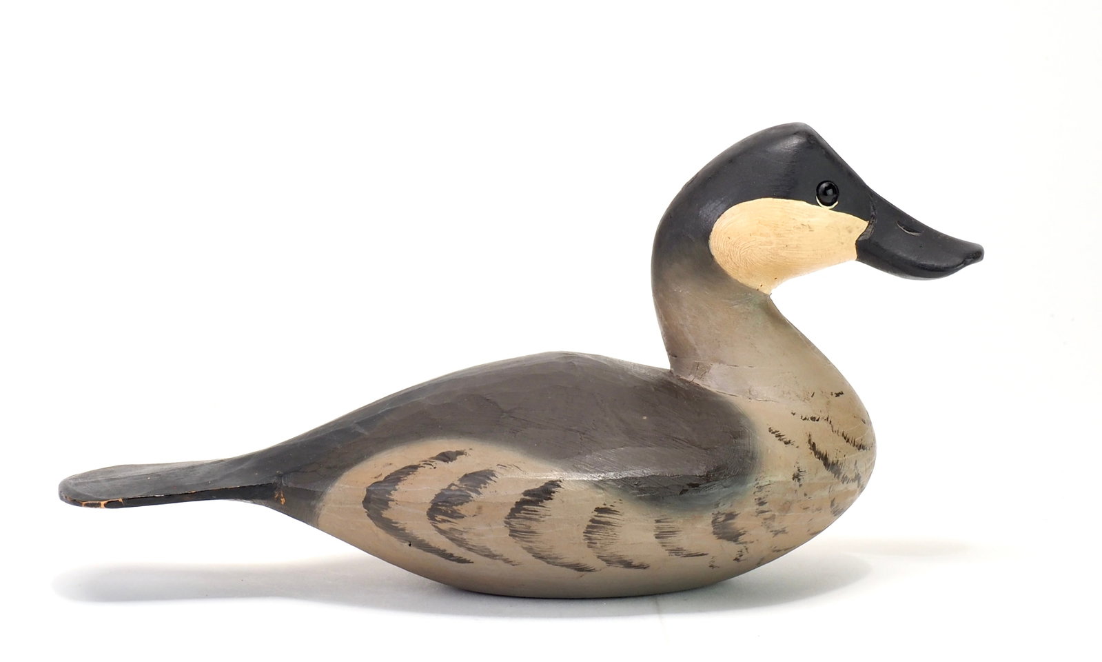 Pete Peterson - Ruddy Duck (1 of 5)