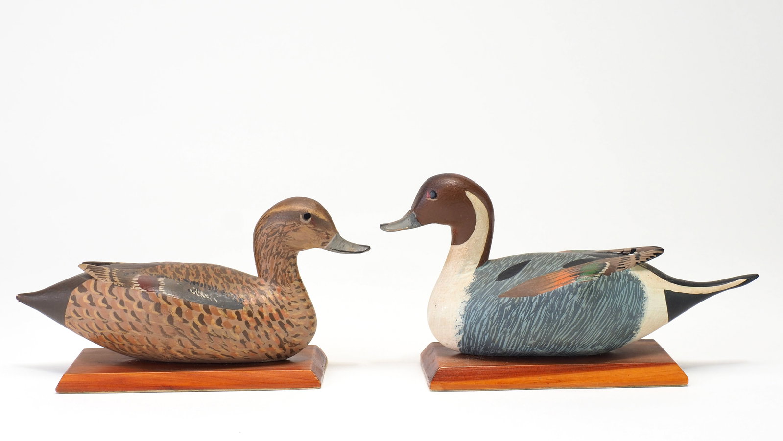 Joe Fallon - Miniature Pintail Pair (1 of 6)