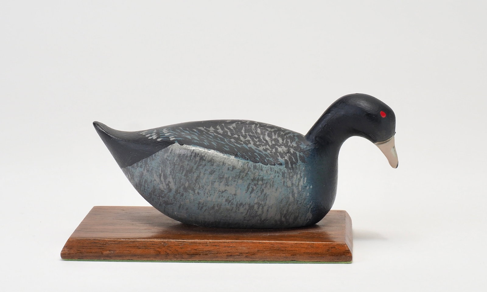 Joe Fallon - Miniature Coot (1 of 6)