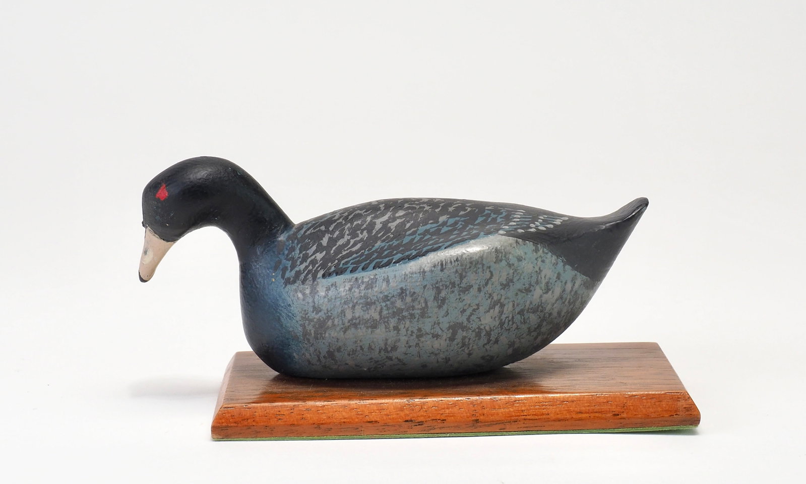 Joe Fallon - Miniature Coot - 3