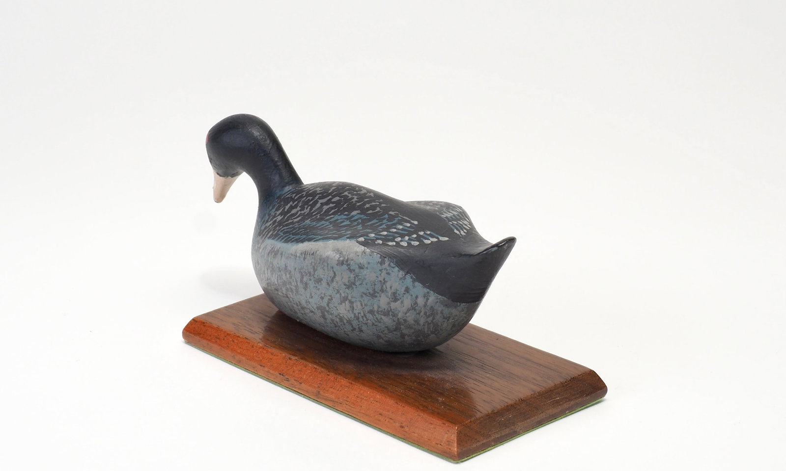 Joe Fallon - Miniature Coot - 4