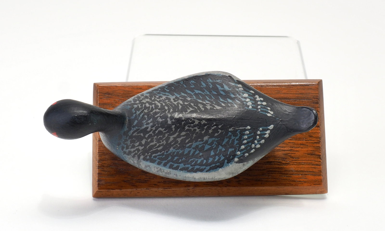 Joe Fallon - Miniature Coot - 5