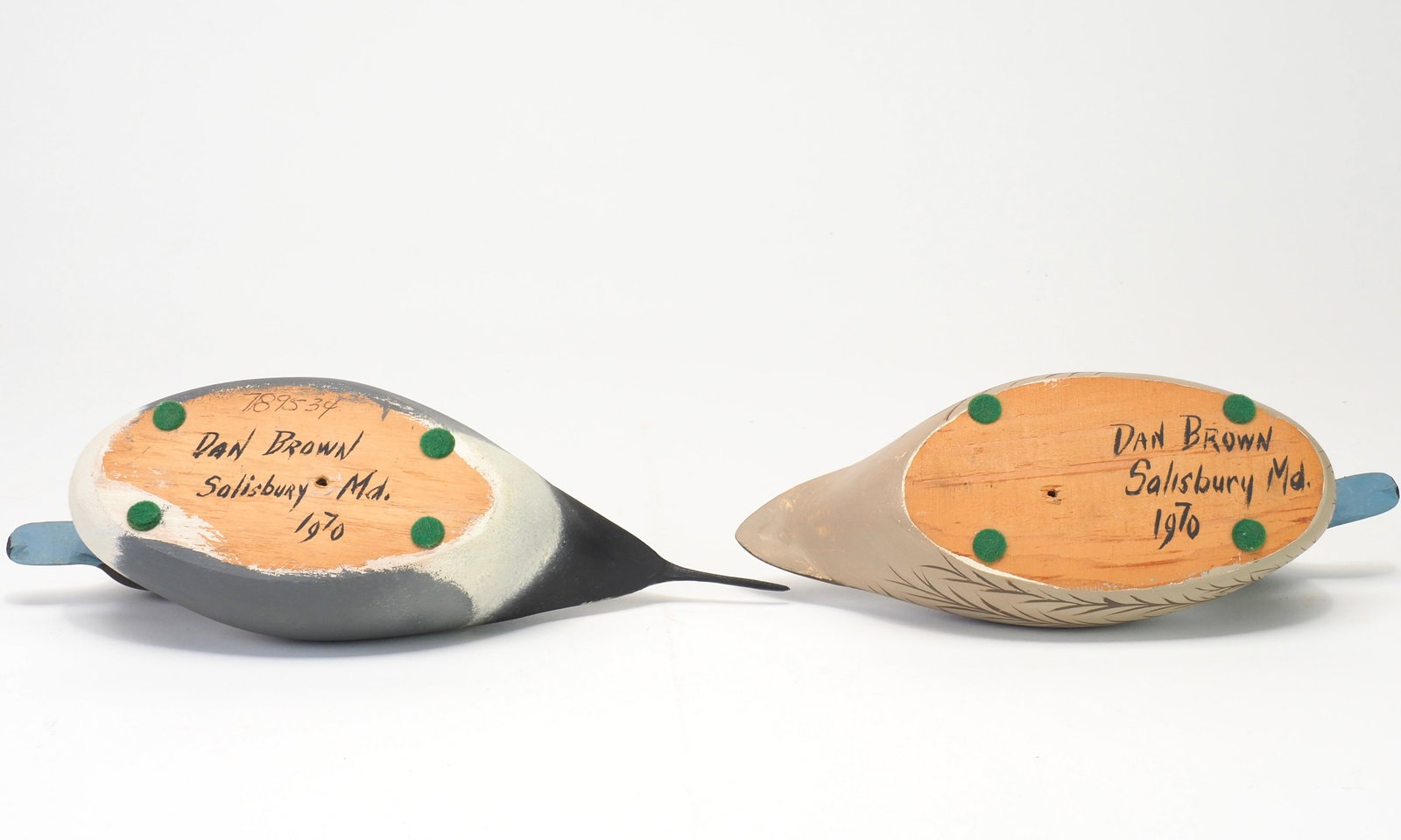 Dan Brown - Miniature Pintail Pair - 5