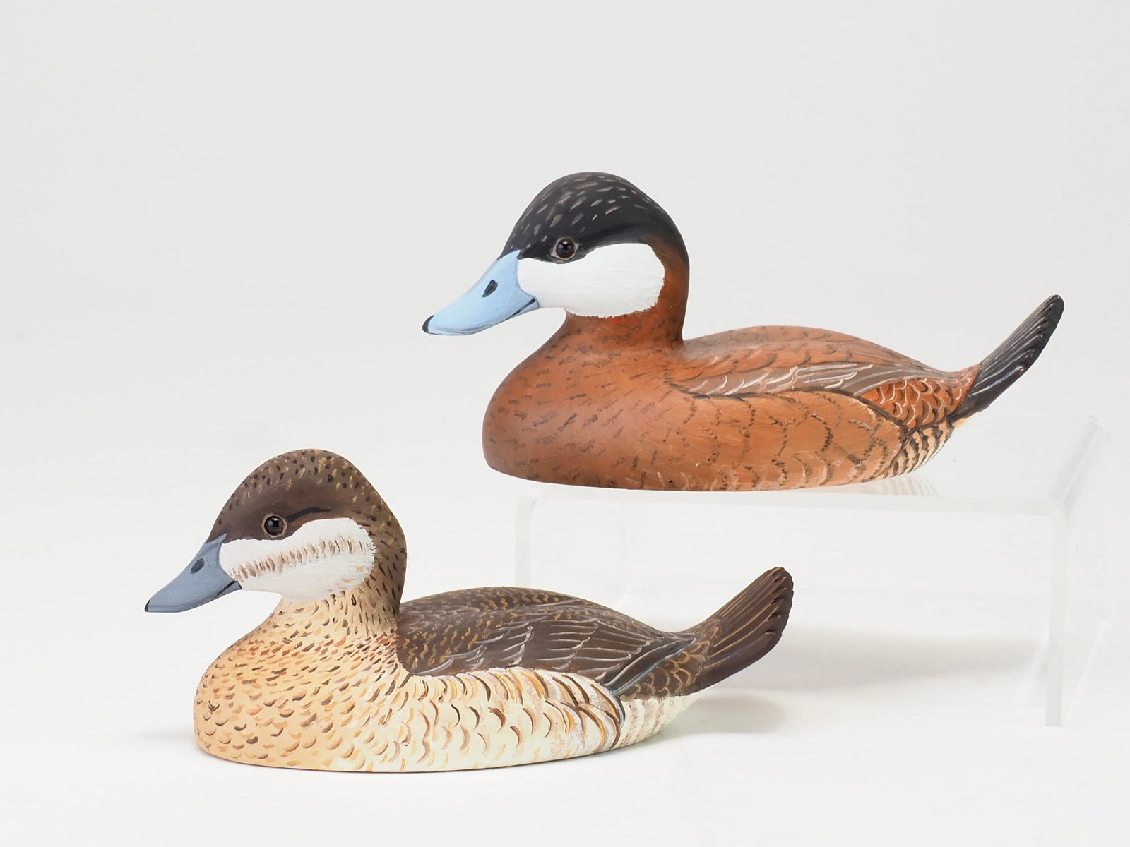 Katy Perdew Seibert - Mini Ruddy Duck Pair (1 of 4)