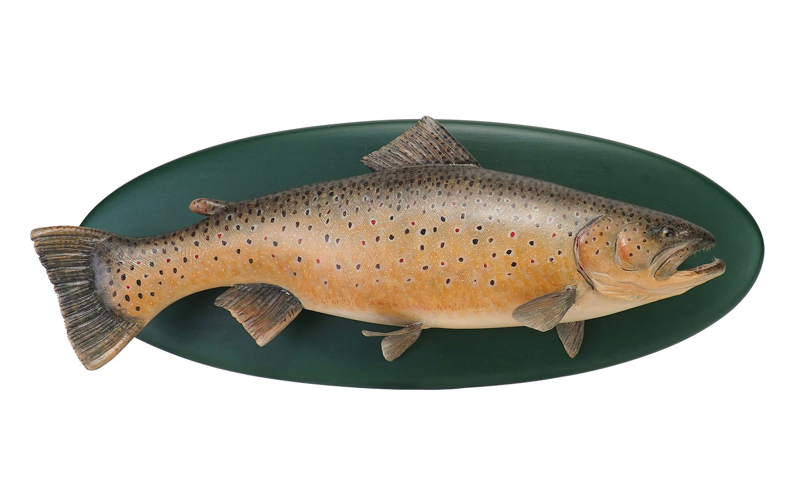 Mike Borrett - Carved Trophy Brown Trout: Mike Borrett (b. 1960) Madison, WI, 2009 22.5" plaque | 20.5" fish Carved from wood with finely detailed paint and surface texture, this piece displays exceptional craftsmanship. The gills and mouth