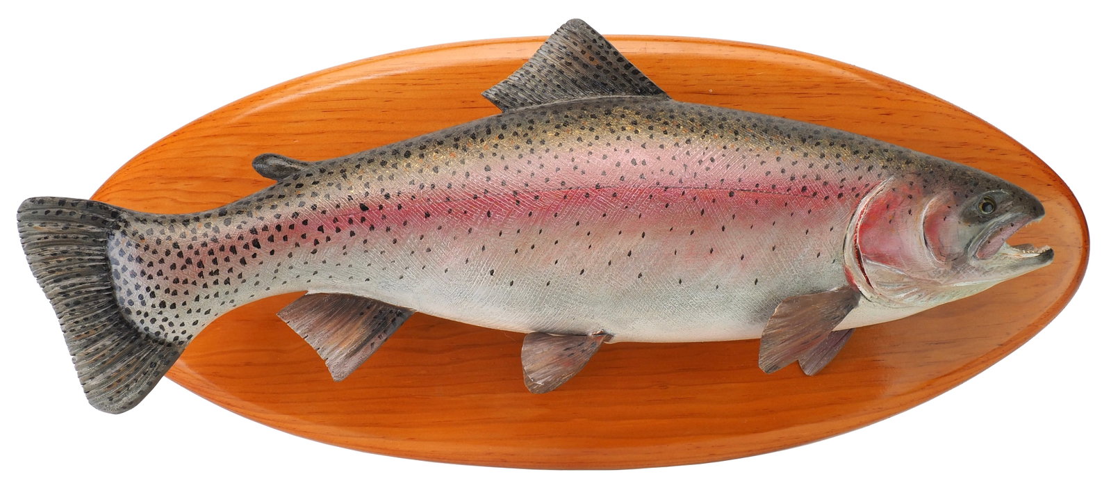Mike Borrett - Carved Rainbow Trout: Mike Borrett (b. 1960) Madison, WI, 2008 plaque 19.25" fish 18" Carved from wood with finely detailed paint and surface texture, this piece displays exceptional craftsmanship. The gills and mouth are 
