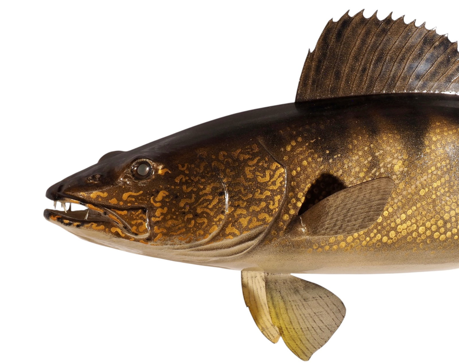 Tom Winter - 33.5" Trophy Walleye Carving - 2