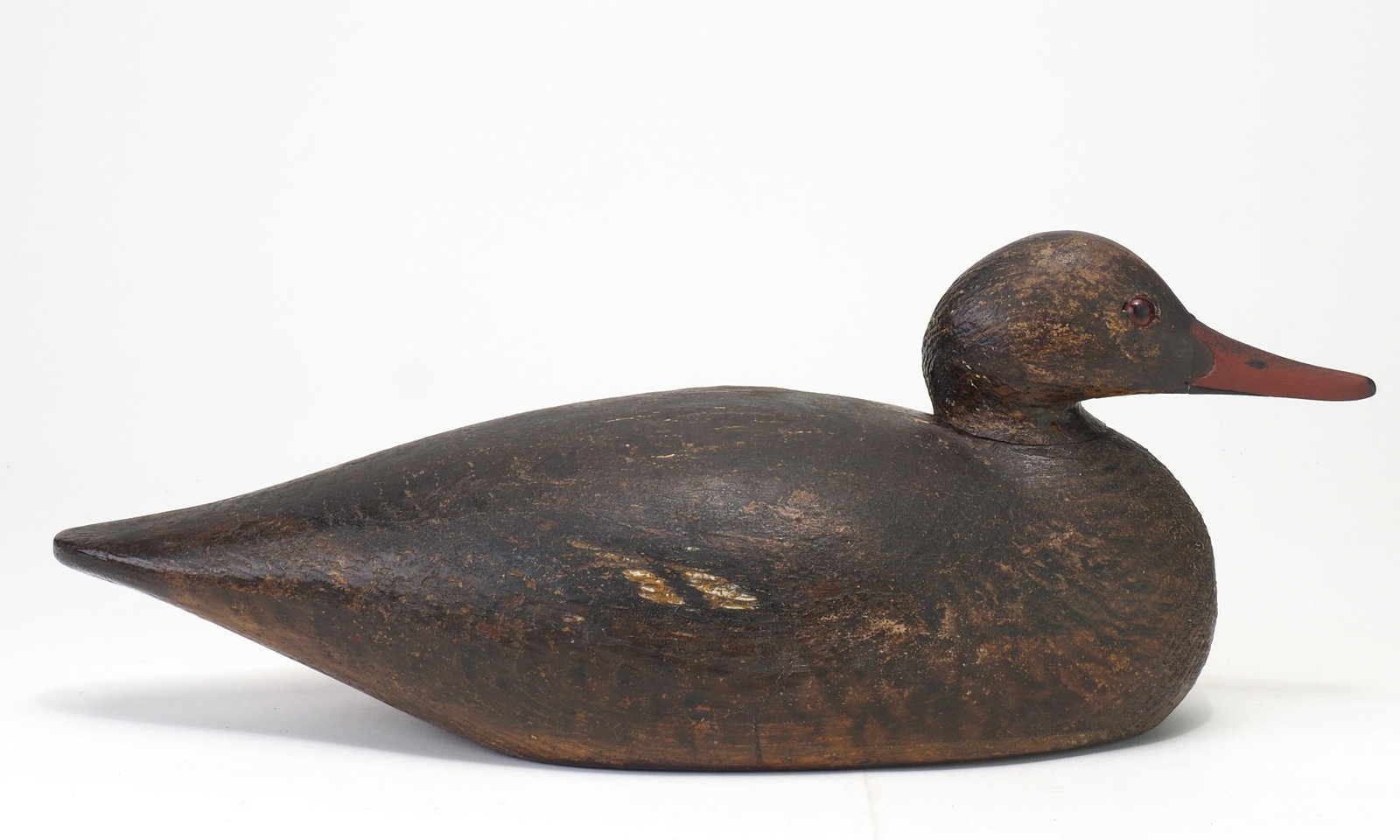 Elmer Crowell - Red-breasted Merganser Hen (1 of 5)
