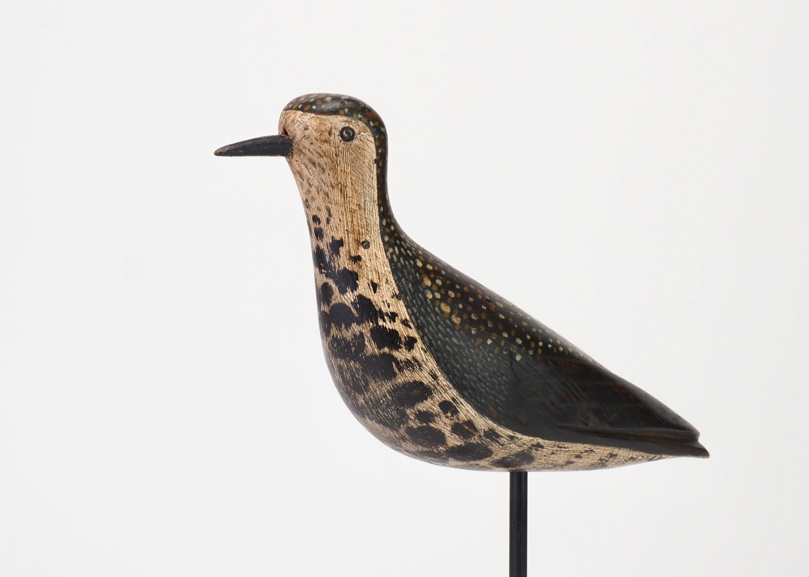W.S. Morton - Golden Plover - 2
