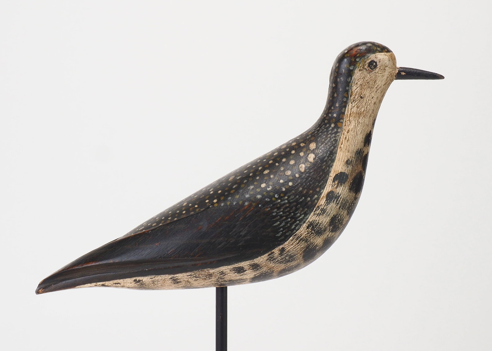 W.S. Morton - Golden Plover - 3