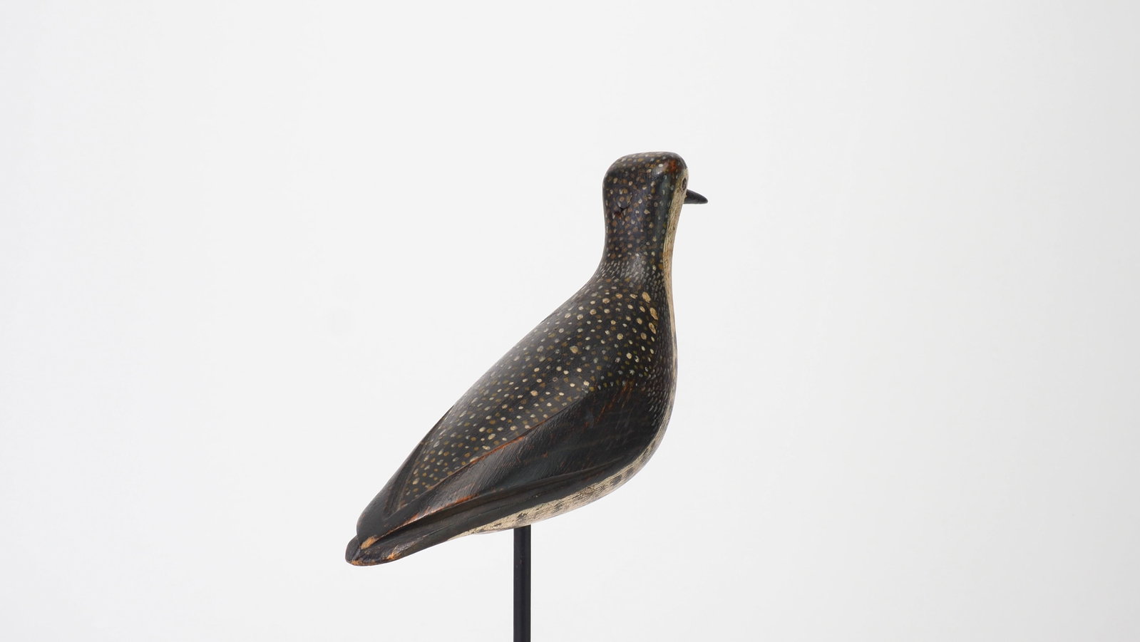 W.S. Morton - Golden Plover - 4