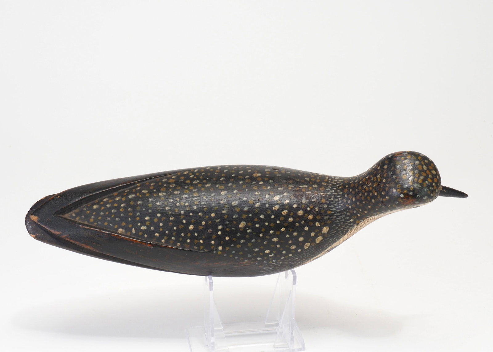 W.S. Morton - Golden Plover - 5