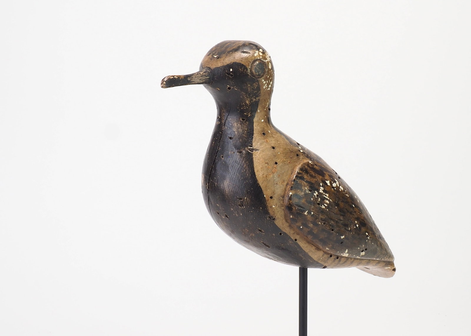 Henry Osbourne Attributed - Blackbellied Plover - 2