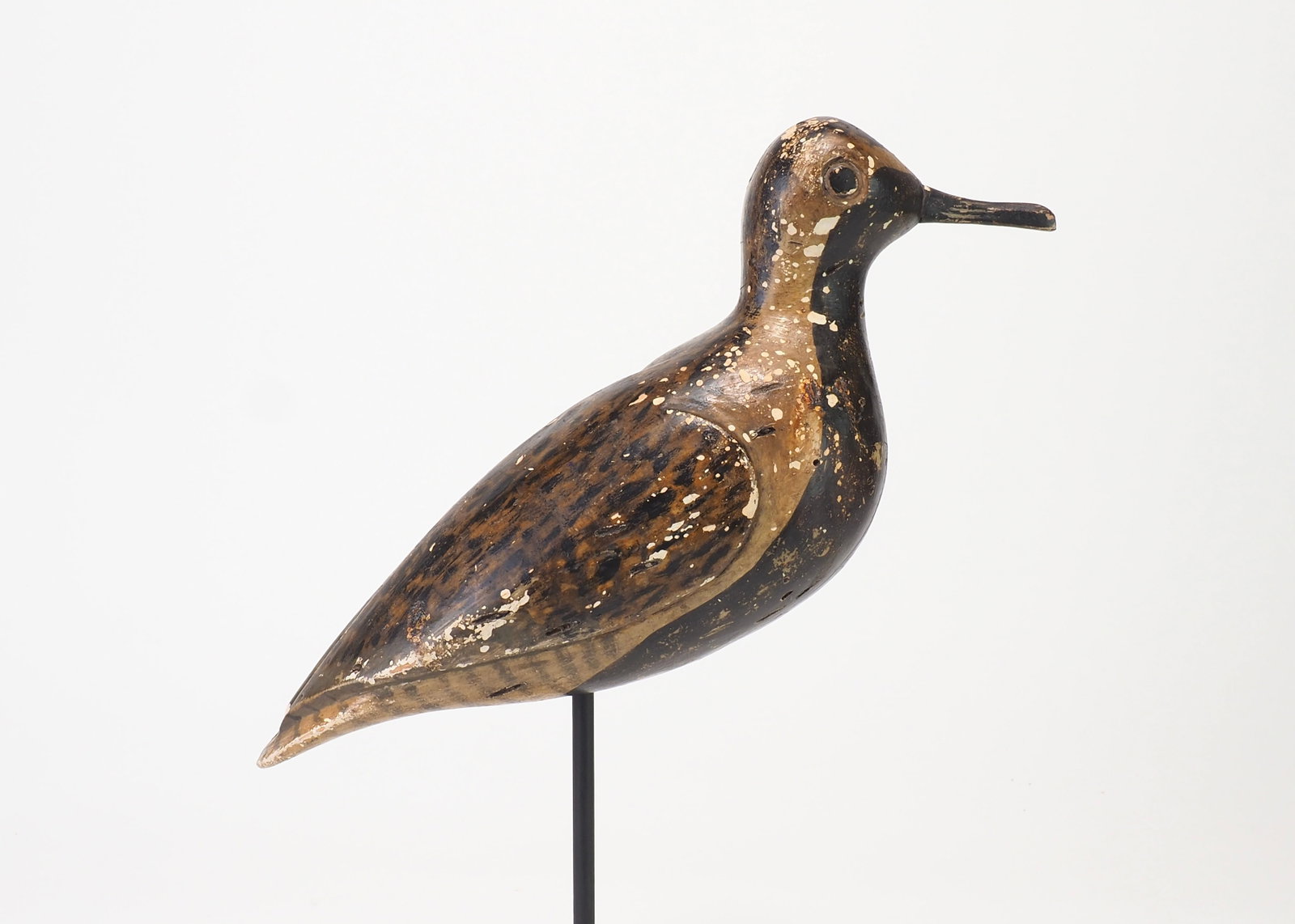 Henry Osbourne Attributed - Blackbellied Plover - 3