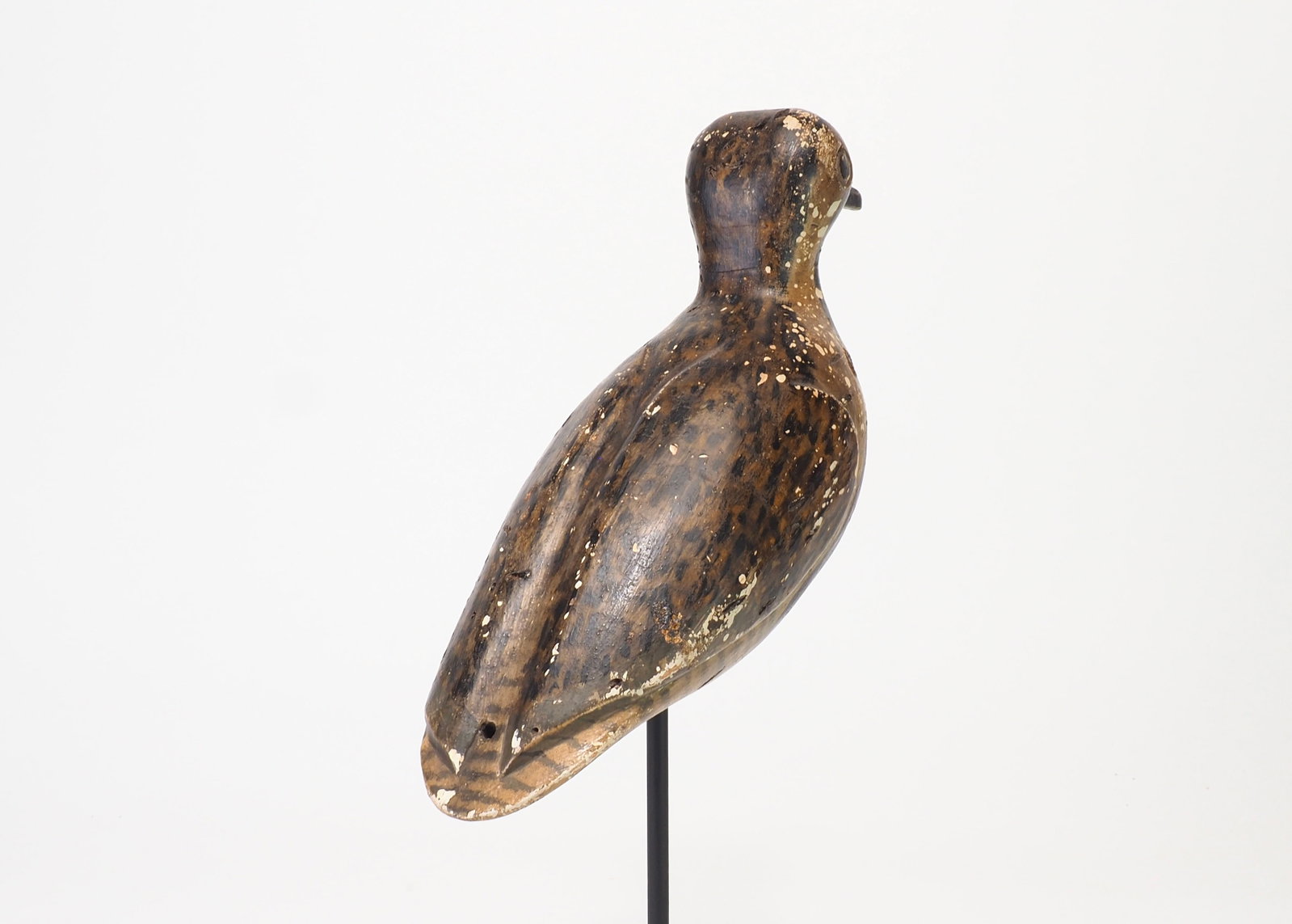 Henry Osbourne Attributed - Blackbellied Plover - 4
