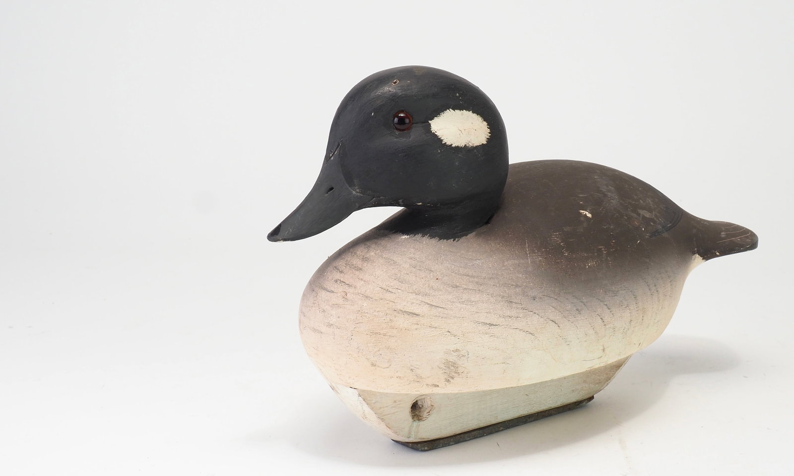 Ken Harris - Rare Bufflehead Hen - 2