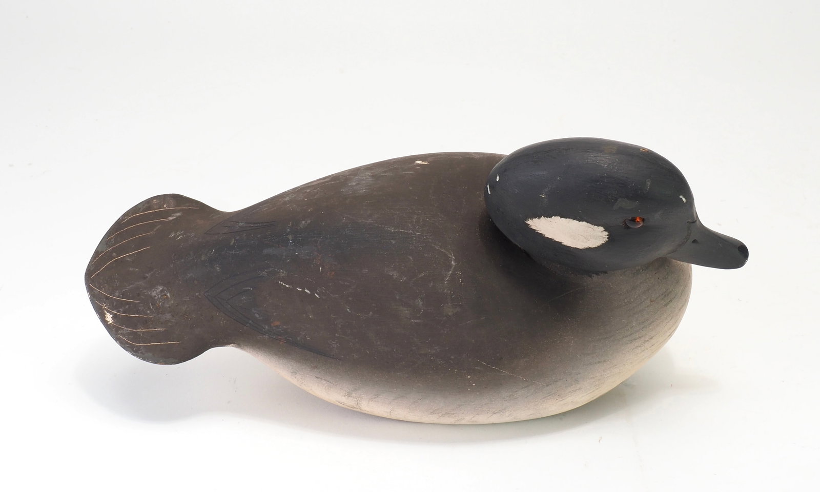 Ken Harris - Rare Bufflehead Hen - 5