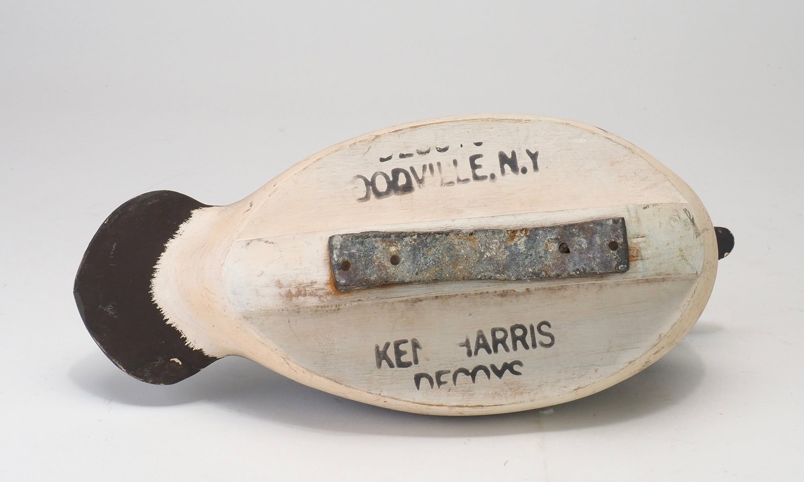 Ken Harris - Rare Bufflehead Hen - 6