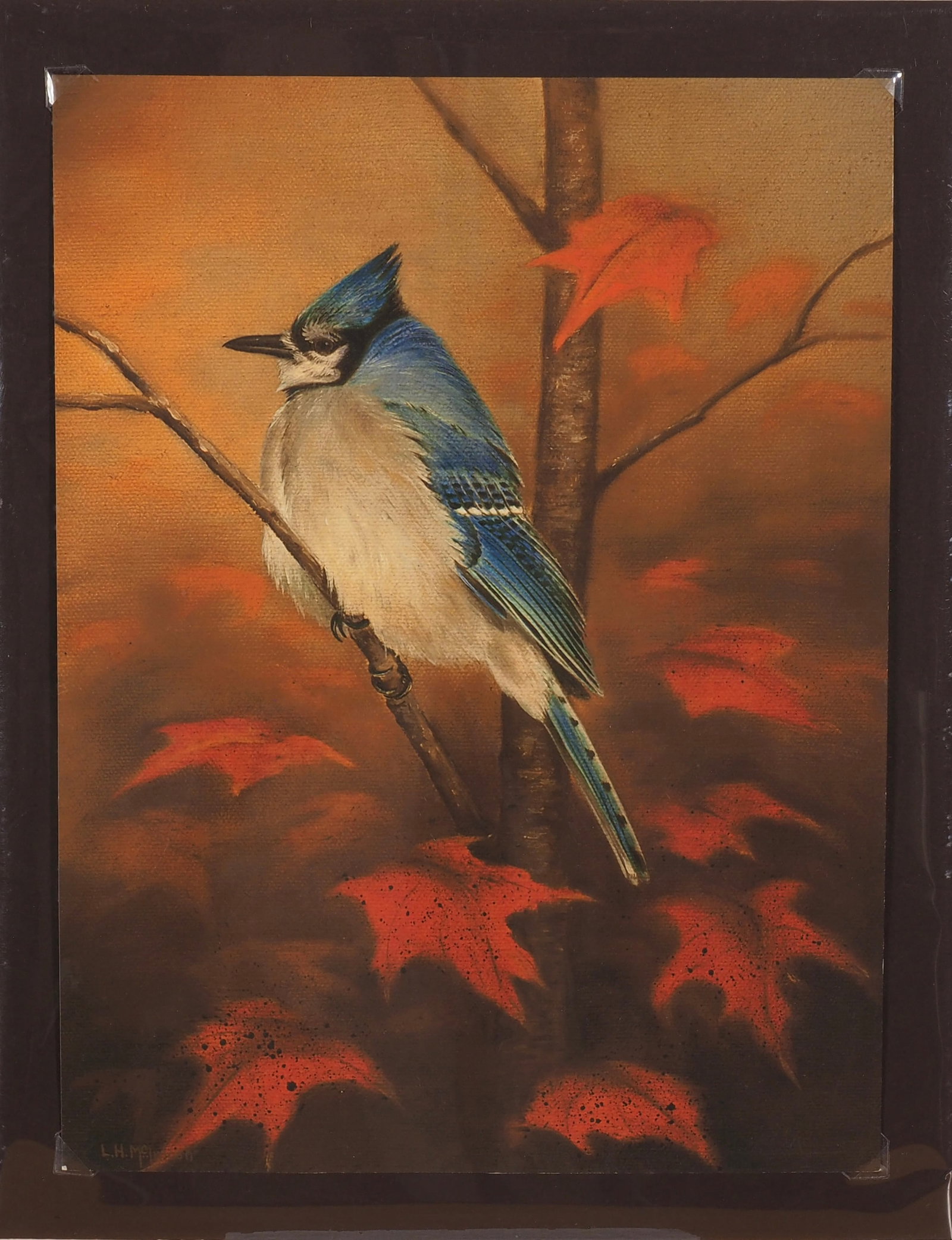 Three Leo McIntosh Prints: Leo McIntosh (1953-2007) Woodville, NY Sight 12" x 9" Three high quality prints of the following scenes. All are in their original wrap. Pintail Pair, Grosbeak Pair, and single blue jay. Condition: