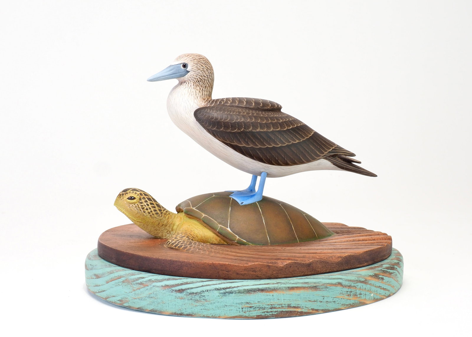 Keith Mueller - Miniature Blue-footed Booby on Sea Turtle: Keith Mueller (b. 1956) Killingworth, CT base 8.25" long | bird 6.25" long Mueller is a self-taught carver and painter who began carving professionally in the mid-1970s. Originally trained as an
