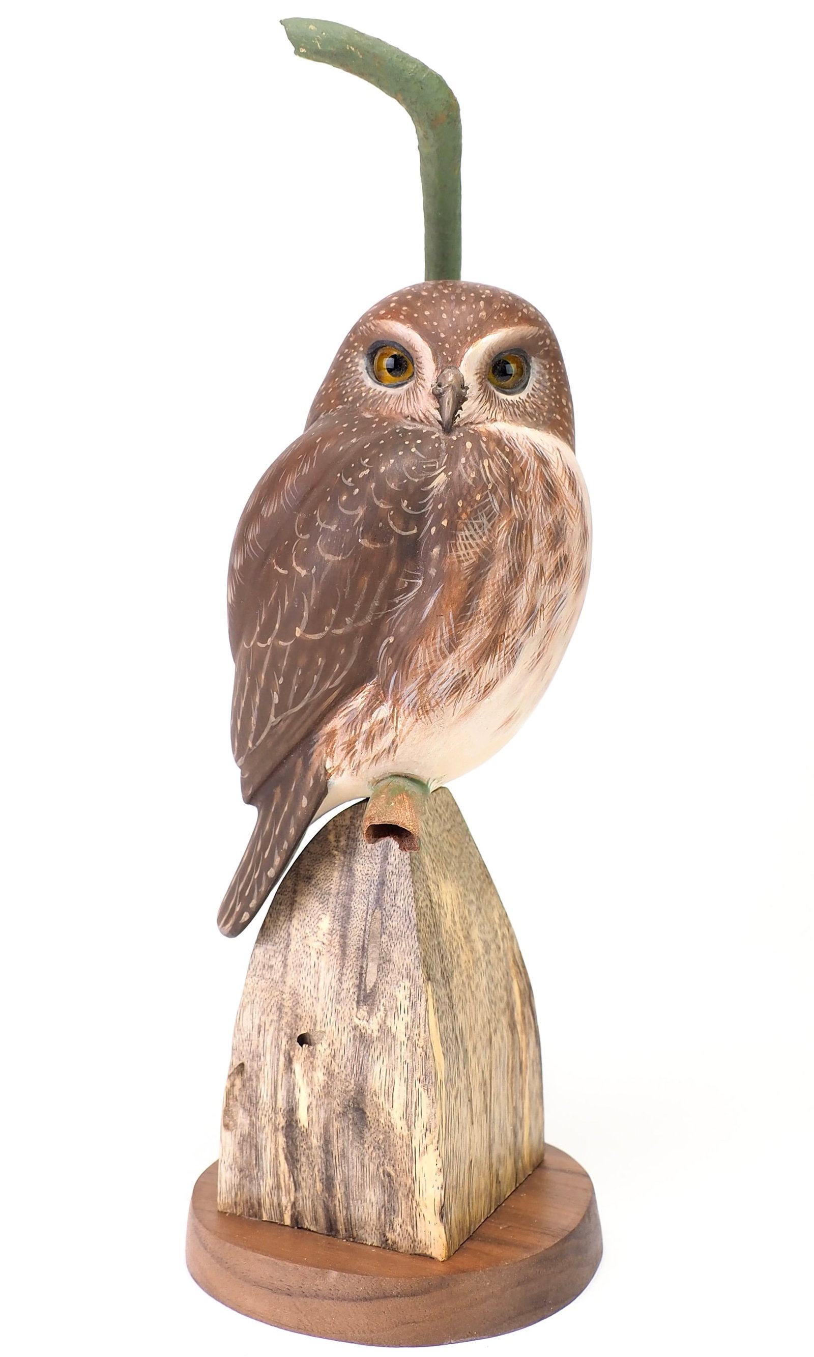 Keith Mueller - Life-size Pygmy Owl Study Decoy: Keith Mueller (b. 1956) Killingworth, CT 10.5" scene Regarding his study, and assisting in studying of Pygmy Owls, Mueller remarks, "I (have) made a few Pygmy Owl decoys for Biologists to use in