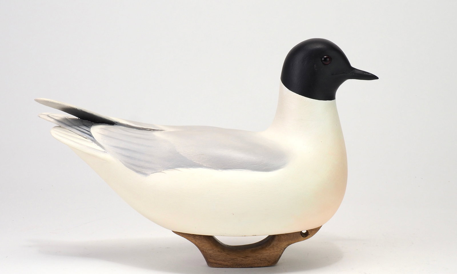 Keith Mueller - Summer Pelagic Personal Study Rig: Keith Mueller (b. 1956) Killingworth, CT 11.75" long Hollow-carved ornithological study of a Little Gull, personally used by Keith Mueller off the coast of Cape Cod, Massachusetts, and signed by the