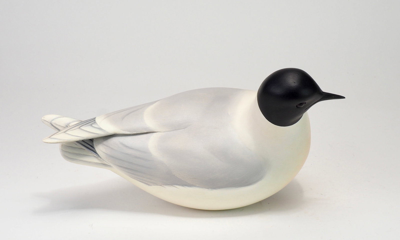 Keith Mueller - Summer Pelagic Personal Study Rig - 6