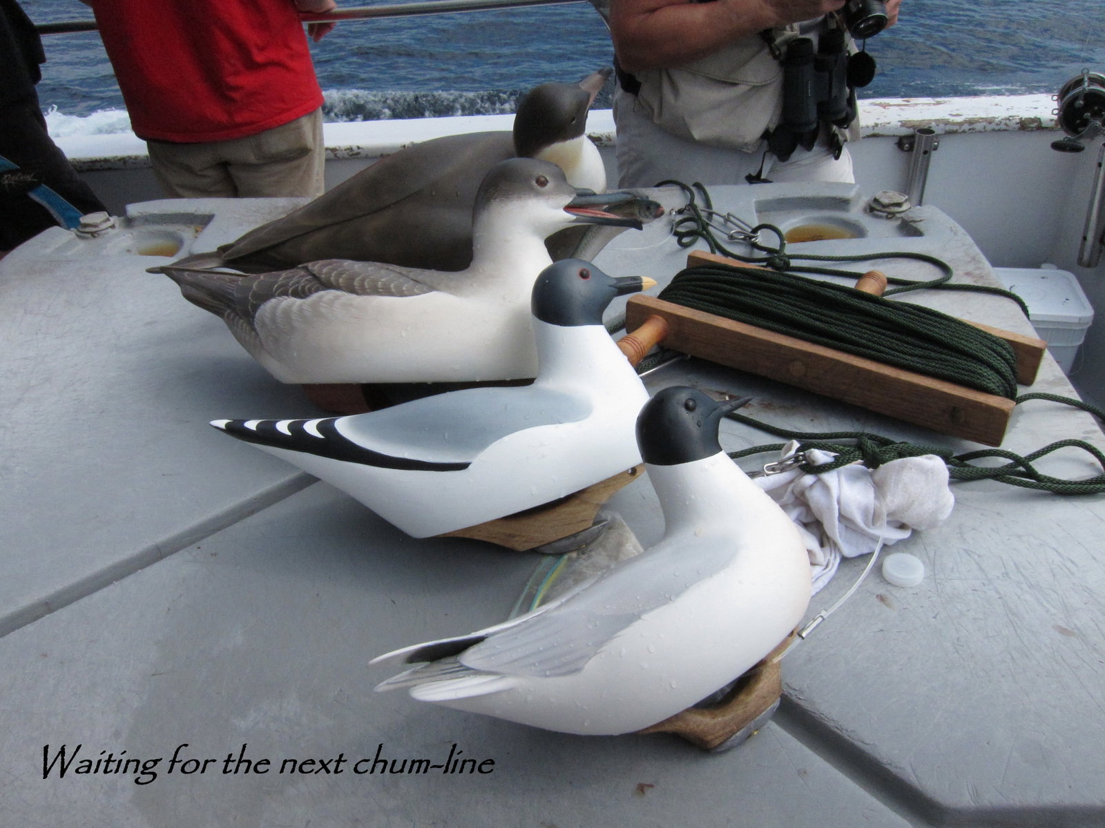 Keith Mueller - Summer Pelagic Personal Study Rig - 8