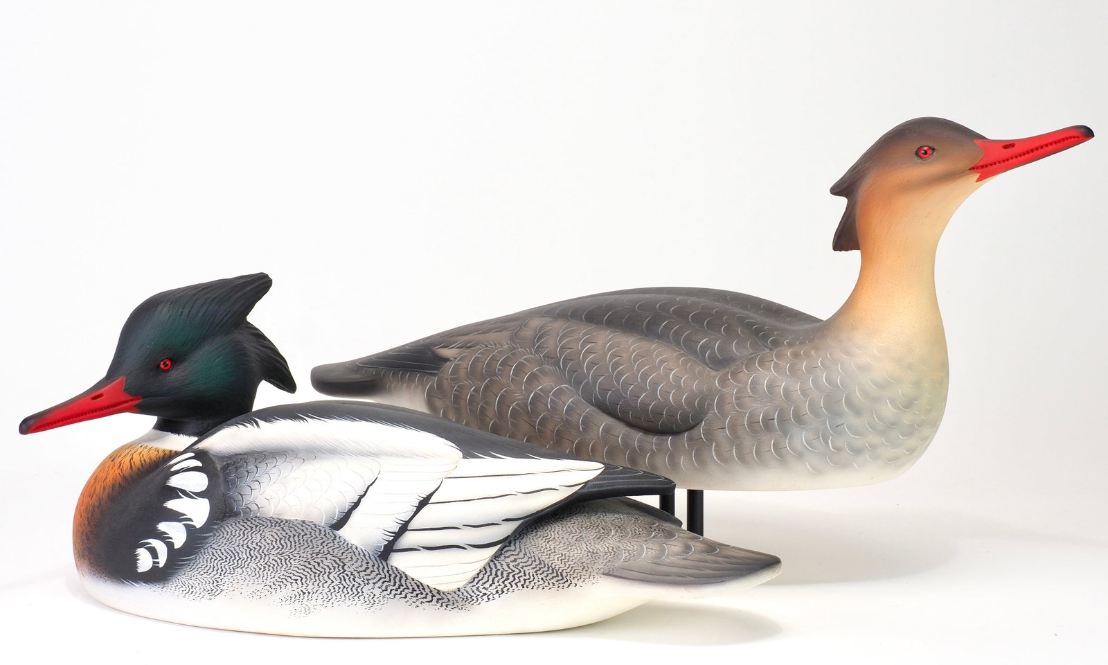 Keith Mueller - Merganser Pair: Keith Mueller (b. 1956) Killingworth, CT c.1997 Drake 16.5" | Hen 20.75" Animated pair of hollow carved redbreasted mergansers. Both having matte finish vibrant surfaces with soft texturing. Both