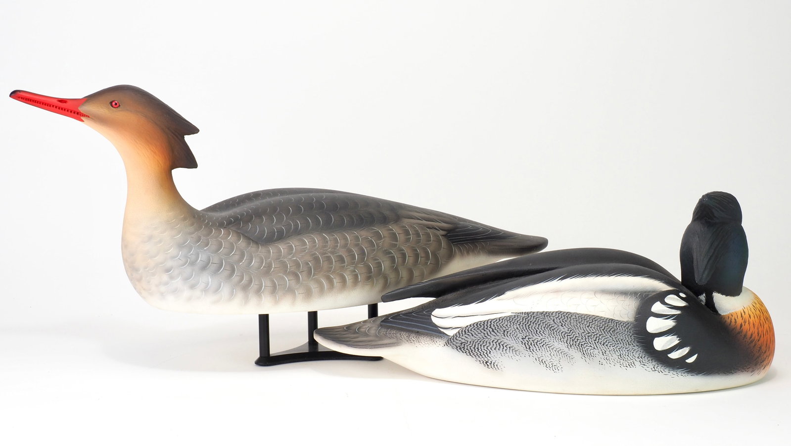 Keith Mueller - Merganser Pair - 2