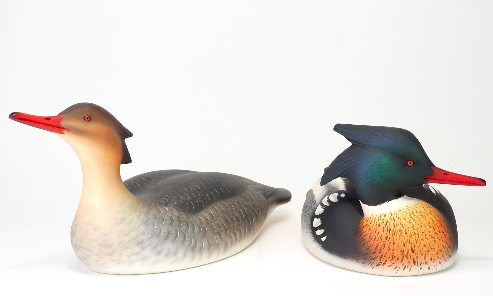 Keith Mueller - Merganser Pair - 3