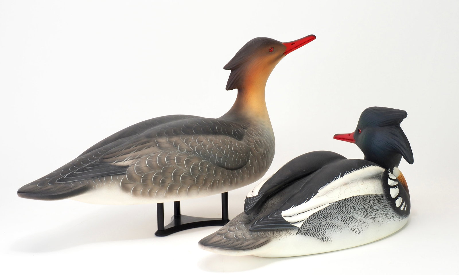 Keith Mueller - Merganser Pair - 4